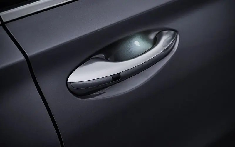 Hyundai Santa Fe Signature - Handles with Welcome Lights