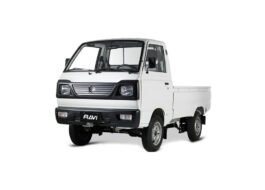 Suzuki Ravi Euro ll